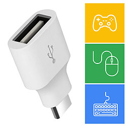 Acheter Adaptateur Google Original USB OTG femelle vers USB-C mâle, Blanc