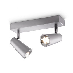 Philips 564624816 - Plafonnier Led Ledino 2 X 5W - Aluminium