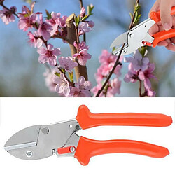 Acheter Ciseaux de jardinage Sécateur de jardin Arbre fruitier Ciseaux de fleuriste Sécateur à main Outils de jardinage