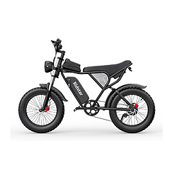 Acheter Vélo Électrique Ridstar Q20 - Moteur 750W Batterie 48V20Ah Pneus 20" Freins à Disque Hydrauliques - Noir