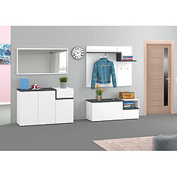 Alter Meuble d'entrée, Made in Italy, Entratina avec cintre, Range-chaussures, meuble TV, 120x40h54 cm, couleur blanc brillant et gris ardoise