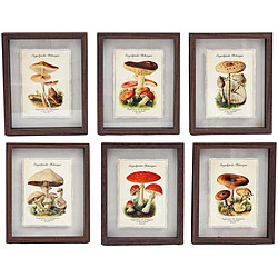 Sil Tableaux décoratifs champignons 30 x 40 cm (Lot de 6).