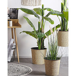 Beliani Plante artificielle BANANA TREE 154 cm