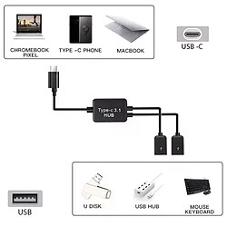 Acheter Cfsyls Câble HUB USB 3.1 mâle vers double 2.0 femelle OTG Charge 2 ports