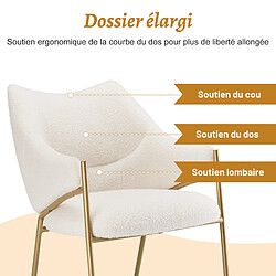 Acheter ComfortXL Chaise Salle à Manger, 1 Pièce, Peluche, Accoudoirs, Coussin Épais, Beige