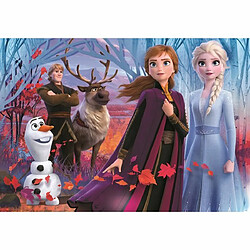 Ludendo Puzzle SuperColor 104 pièces - La Reine des Neiges 2