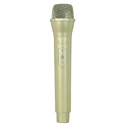 Avis Accessoire de microphone artificiel