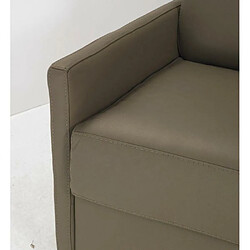 Acheter Inside 75 Canapé lit 3-4 places SUN convertible EXPRESS 160cm polyuréthane taupe matelas épaisseur 16cm