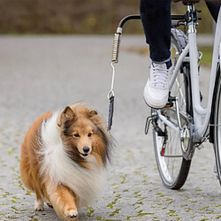 TRIXIE Ensemble de laisse de vélo pour chien Noir 1287