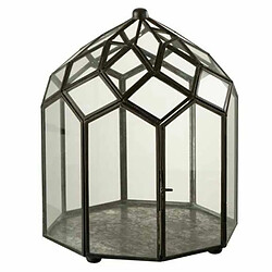 Paris Prix Terrarium en Verre Vintage Brisla 30cm Noir