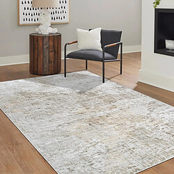 Thedecofactory VERDIO USED - Tapis en viscose effet usé en relief gris 160x230 pas cher