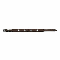 Collier pour Chien Hunter Swiss 38-43.5 cm