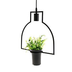 E27 Suspension Lampe Lampe Feu Plantes Plafonnier Suspension Lampes Lamp Decor # 5