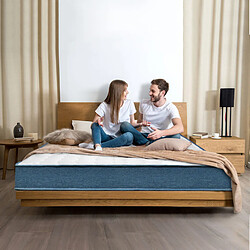 BIGZZIA Matelas 140x190 Mémoire de Forme Ergonomique - WOWTTRELAX - 7 Zones de Confort Anatomiques Haute densité Transpirant 20.5 cm pas cher