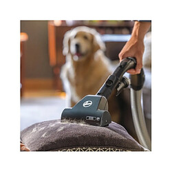 Hoover Aspirateur traîneau HE720PET 011 pas cher