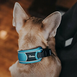 Avis Collier pour Chien Hunter Divo Turquoise (25-35 cm)