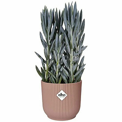 Acheter Pot Elho Rose Plastique Rond Ronde Moderne Ø 25 cm