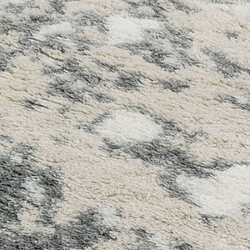 Jardindeco Tapis intérieur en polyester poils longs Léna léopard 230 x 160 cm.