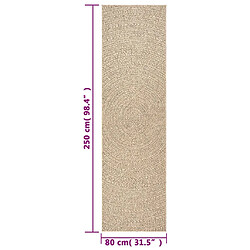 vidaXL Tapis ZIZUR 80x250 cm aspect de jute intérieur et extérieur pas cher