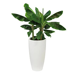 ELHO Pot de fleur rond haut en polyethylène Pure - Blanc - 40cm