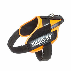 Harnais pour Chien Julius K9 IDC Orange L/XL 2 71-96 cm