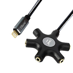 Câble audio Lightning vers 5 prises Jack 3.5mm Son de qualité Longueur 1,5m LinQ