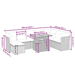 Avis vidaXL Salon de jardin avec coussins 9 pcs beige résine tressée