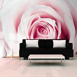 Paris Prix Papier Peint Rose Maze 105 x 150 cm