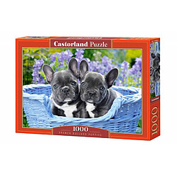 Castorland FRENCH BULLDOG PUPPIES