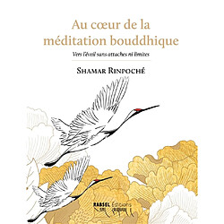 Au coeur de la méditation bouddhique : vers l'éveil sans attaches ni limites