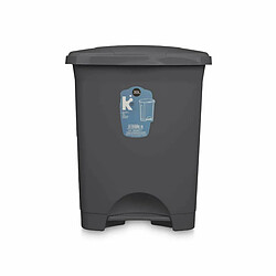 BigBuy Home Poubelle à pédale Anthracite Plastique 30 L (4 Unités)