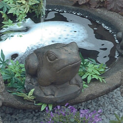 Jardinex Statue grenouille ... 13 cm - Gris anthracite