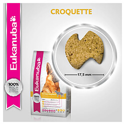 Croquettes pour chien