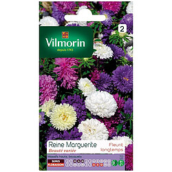 Vilmorin Sachet graines Reine Marguerite Beauté variée