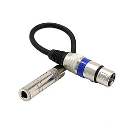 6.35mm à 3Pin XLR