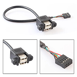 Double USB 2.0 Femêlle À 9 Pins Carte Mère Câble de Connexion Header Corde