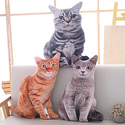 Acheter Universal 50cm simulation chat peluche douce coussin réalité - canapé décoration dessin animé peluche (gris)