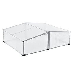 Helloshop26 Serre châssis de jardin mossel double relevable 100 x 120 x 40 cm polycarbonate 03_0008268