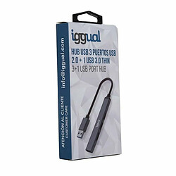 Acheter Hub USB iggual IGG318454