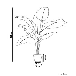 Avis Beliani Plante artificielle DIEFFENBACHIA Vert