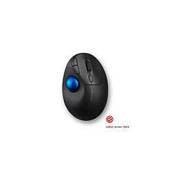 Kensington Pro Fit Ergo TB450 mouse