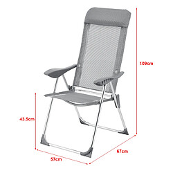 Acheter Lot de 2 Chaises de Jardin Errenteria avec Accoudoirs Dossier Inclinable Gris Clair [en.casa]