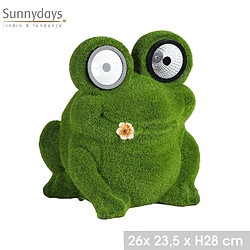 Sunnydays Grenouille solaire flocage herbe