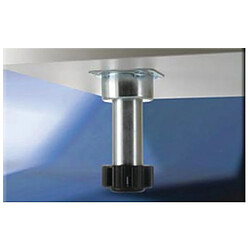 Avis NOTRE SELECTION PIED METAL 323 150MM A LUNITE