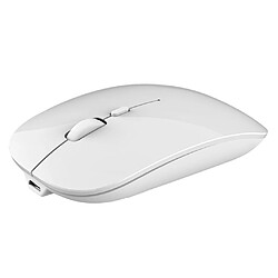 Souris Sans Fil Bluetooth5.0 Double Mode + Mode 2,4 GHz Pour Ordinateur Portable PC Blanc