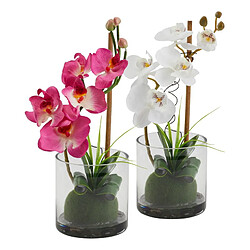 But Vase ORCHIDEE COMPO Blanc/Violet