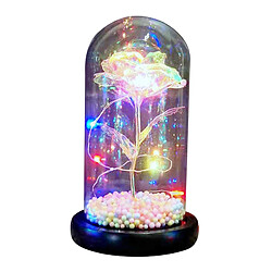 Galaxy Rose Flowers Forever Rose Lumière LED Colorée Dans Le Style De Dôme En Verre