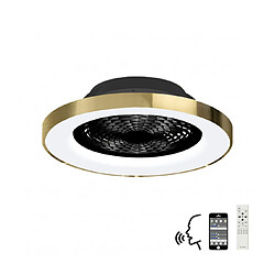 Luminaire Center Plafonnier ventilateur Tibet Or noir 1 ampoule 20cm