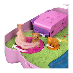 Acheter POLLY POCKET Coffret Aventures du Koala