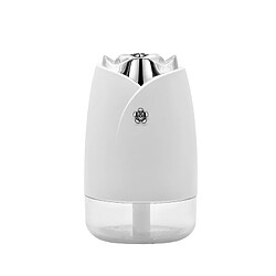 Wewoo Purificateur d'air WT-H19 Humidificateur à pulvérisation de rose avec veilleuses coloréesCapacité du réservoir d'eau 230 ml Blanc